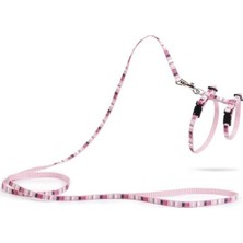Ohbe Express Yavru Kedi Göğüs Tasması ve Gezdirme Kayışı, 120CM, Pembe, 15-33CM