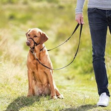 Ohbe Express Uzman Köpek Eğitim Tasması L-Xl 37CM