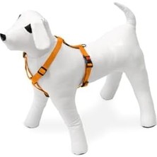 Ohbe Express Kilitli Göğüs Tasma, Köpek, M, 45-70 Cm, Turuncu