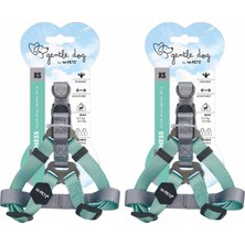 Ohbe Express Gentle Dog Triangle Göğüs Tasması Green (Xs) (2 Paketi)