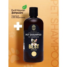 Ohbe Express Doku Pet Cosmetic Kedi ve Köpek Şampuanı 500 ml | Göz Yakmayan, Doğal ve Anti Alerjen Formül | Köpeklerde Kaşıntı Giderici Etki