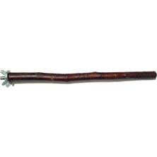 Ohbe Express Doğal Dal Kuş Tüneği, Ahşap Kuş Dalı, Metal Bağlantı Aparatlı Tünek (22 Cm) - Muhabbet Kuşları, Kanarya, Cennet Papağanı Için