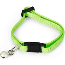 Ohbe Express Beeztees Yavru Kedi Tasması 23 cm Yeşil, 556-730382