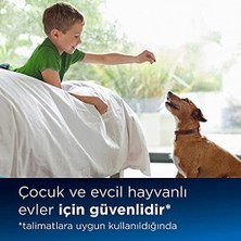 Ohbe Express Tüm Yüzeyler Için Evcil Hayvan Zemin Temizleme Deterjanı ve Febreze 1 L | Crosswave, Spinwave ve Hydrowave Için | Sert Zemin ve Halılardan Evcil Hayvan Koku ve Lekelerini Giderir | 2550