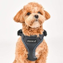 Ohbe Express Ayarlanabilir Boyunlu Otantik Puppia Ritefit Koşum, Siyah, Large