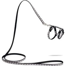 Ohbe Express Yavru Kedi Göğüs Tasması ve Gezdirme Kayışı 120CM, Siyah, 16-25CM Boyun, 23-36CM Göğüs