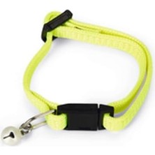 Ohbe Express Beeztees Yavru Kedi Tasması 23 cm Sarı, 556-730380