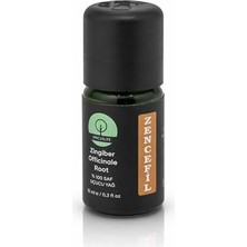 Ohbe Express Unicuslife% 100 Saf Doğal Zencefil Yağı (Seyreltilmemiş) 10 ml