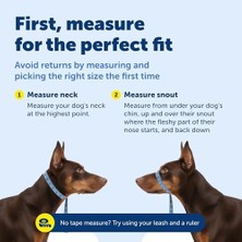 Ohbe Express Petsafe Nazik Lider Çekmesiz Köpek Yaka - Çekmenin En Iyi Çözümü - Köpeğinizin Çekmesini Daha Kolay Yürüyüşler Için Yönlendirir - Kontrolü Yeniden Kazanmanıza Yardımcı Olur - Medium, Kraliyet Mavisi