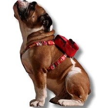 Ohbe Express ,çantalı Göğüs Tasması, Köpek Sırt Çantası – 2’si 1 Arada Göğüs Tasması Fonksiyonlu, Ayarlanabilir, Küçük & Büyük Irklar Için,kırmızı, Large, Recycled