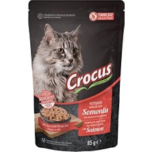 Ohbe Express Crocus Pouch Yetişkin Kedi Somonlu Jöleli 85G, 856-002