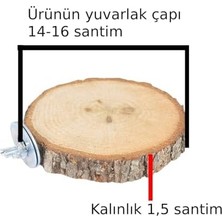 Ohbe Express Ağaç Ahşap Büyük Boy Kuş Tüneği Papağan Tünek Dilim Tünek Çapı 14-16 Santim Kalınlık 1,5 Santim