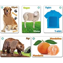 Ohbe Express Dokun Hisset Tanı Eğitim Kartları, Zeka Kartları