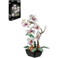 Ohbe Express Jaki Plante Serisi Saksıda Beyaz Orkide 581 Parça Oyucak Yapım Seti -FFJK29012