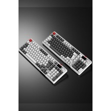 Ohbe Express Loyal Pro Beyaz/gri 3 Bt + 2.4 IPS Ekranlı Red Switch Rgb Mekanik Kablosuz Klavye