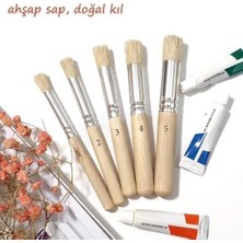 Ohbe Express 5 Adet Doğal Kıl Fırça Seti Ahşap Saplı Şablon Fırçalar El Sanatları Figür Boyama ve Akrilik Yağlı Uygulamaları Için