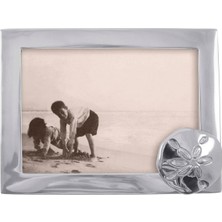 Ohbe Express Marıposa 1569 Dolar Resim Çerçevesi, 12,7 x 17,8 Cm, Gümüş, 5" x 7"