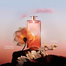 Ohbe Express Lancome Idole Now Edp Kadın Parfümü 100 Ml, LE244700