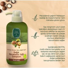 Ohbe Express Macadamia Yağlı Şampuan 600 ml x 3 ve Saç Kremi Hediyeli