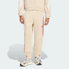 adidas M Stadıum Pt