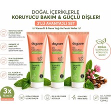Daycare Karanfil ve Nane Yağlı Glutensiz Diş Macunu 3'lü