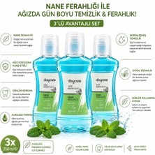 Daycare Alkolsüz Ağız Bakım Suyu 290 ml 3'lü