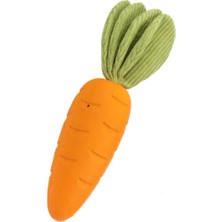 Flzdgnkr Pawise My Carrot Lastik Oyuncak