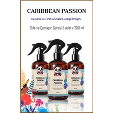 Rosie 3 Adet Caribbean Passion Oda ve Çamaşır Spreyi 250 ml