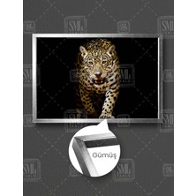 SML Tablo Kükreyen Vahşi Leopar Leopard Afrika Aslan Yatay Çerçeveli Kanvas Tablo