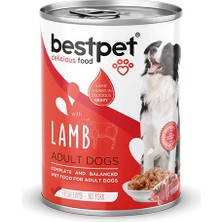 Bestpet Parça Etli Kuzu Etli Yetişkin Köpek Konservesi 24 Adet 400 gr