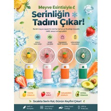 Blooming Plus Meyve Figürlü Şarjlı Mini Fan 4'lü Paket