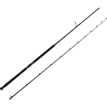 Savage Gear Defiance Sg2 Shore Jig 2.90M 50-120GR 2 Parça Olta Kamışı