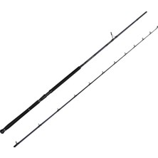 Savage Gear Defiance Sg2 Shore Jig 3.05M 30-100GR 2 Parça Olta Kamışı