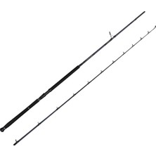 Savage Gear Defiance Sg2 Shore Jig 3.05M 60-150GR 2 Parça Olta Kamışı