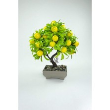 Royaleks Group Dekor Ağaç Limon Ağacı Saksılı Dekoratif Ağaç Biblo 24X13 cm