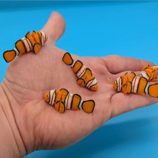 Brand House Çok Renkli 3D Flexi Balık Anahtarlık & Çanta Süsü | Hareketli Charms Aksesuar