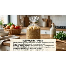 Köy Bulguru