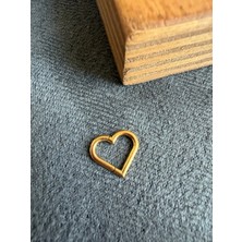 Aida Jewelss %100 316 L Cerrahi Çelik Kalp Modeli Kilitli Halka Piercing