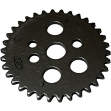 Tvs Raider 125 Eksantrik Dişlisi (R1010800)