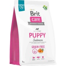 Brit Care Skin & Coat Tahılsız Hassas Deri Yapısına Sahip Somonlu Yavru Köpek Maması 3 kg