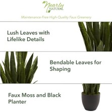 Natural, Green 4855 Sansevieria Bitki Saksısı, 88,9 Cm, Siyah