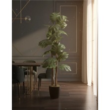 Cennet Home Premium Yapay Monstera Deve Tabanı Salon Bitkisi 160 cm 3 Gövde Siyah Saksılı