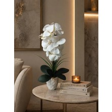 Cennet Home 15 Kandilli Beyaz Orkide – Pure Elegance Lüks Aranjman”