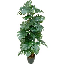 Cennet Home Monstera Deve Tabanı Palmiye Ağacı Dolgun Dev Yapraklı Yapay Ağaç 170 cm 5 Gövde 30 Yaprak
