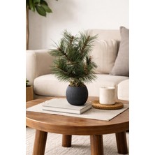 Cennet Home Masaüstü Dekoratif Mini Nordic Çam Ağacı 37 cm