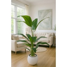 Cennet Home Premium Tropikal Starliçe Ağacı 170 cm – Küre Saksıda 20 Yapraklı Dolgun Yapay Ağaç