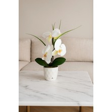 Cennet Home 3 Kandilli Beyaz Islak Orkide Elegans Masaüstü Yapay Aranjman 30 cm