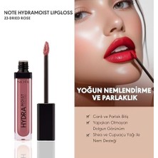 Cosmetics Hydramoist Lipgloss 23 Dried Rose Nemlendirici Dudak Parlatıcısı, Pembe