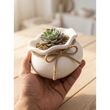 Dekorea Home Kıvrımlı Taş Tozu Dekoratif Kase - Mum, Sukulent ve Çok Amaçlı 2 adet organizer