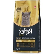 Die Grup 1,5 kg Plus British Shorthair Yavru Kedi Maması, Besleyici